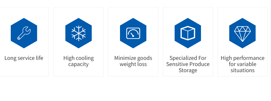 Features Características