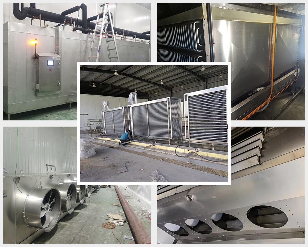 Casos de Referência